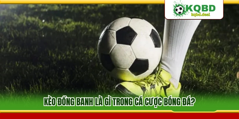 Giải thích kèo đồng banh là gì trong cá cược bóng đá?